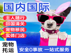 天吉泰空运代理国际宠物托运 【国